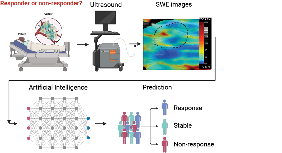 AI-powered cancer prediction visualization